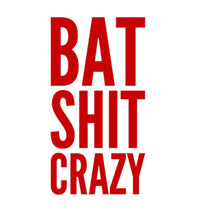 Load image into Gallery viewer, Bat Shit Crazy Sticker Decal - Southern Fashionista Boutique 