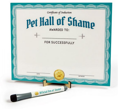 Pet Shaming Dry Erase Board - Southern Fashionista Boutique 
